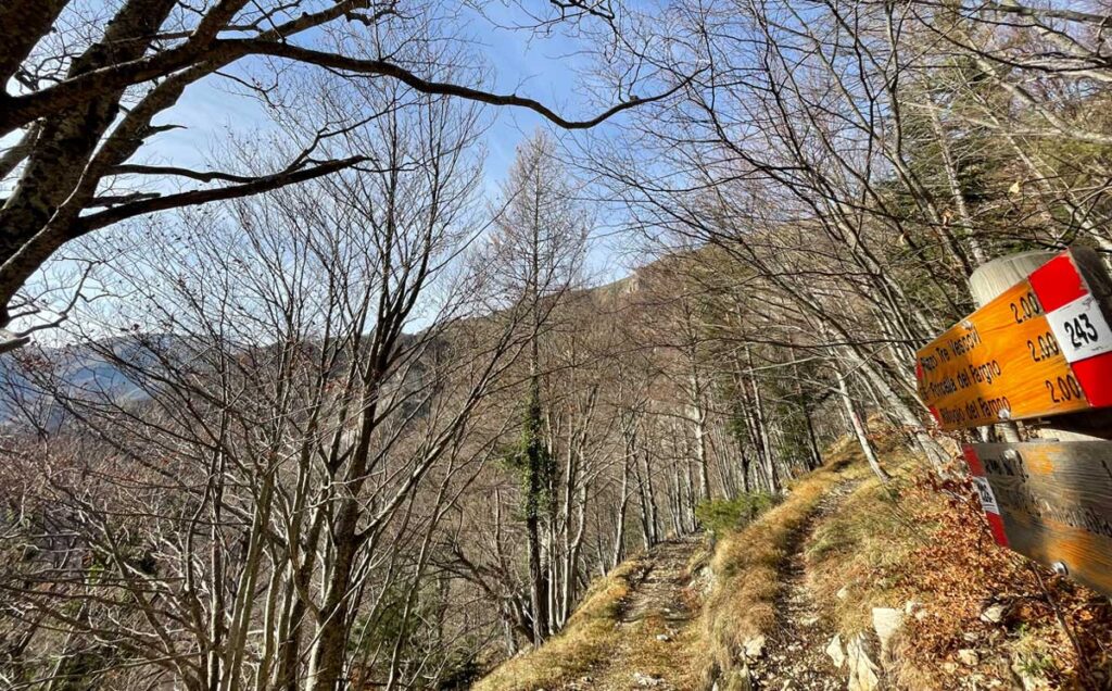 salita verso la Valle dell'Ambro e la sua sorgente